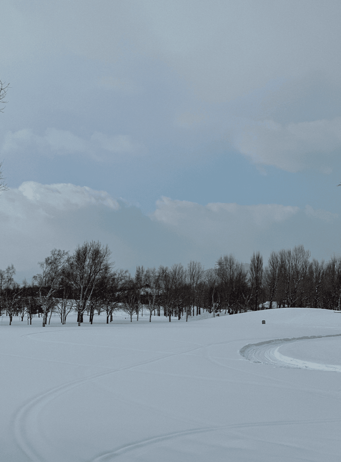 Explore community stories