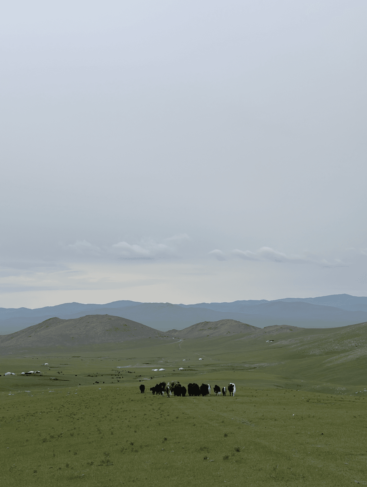 AI Brief travel assistant